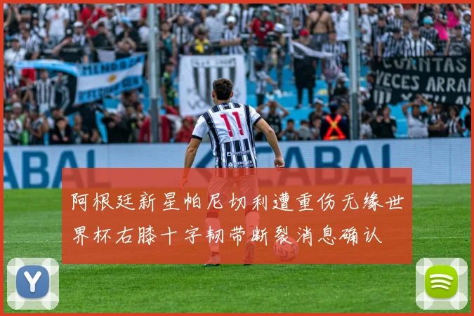 阿根廷新星帕尼切利遭重伤无缘世界杯右膝十字韧带断裂消息确认