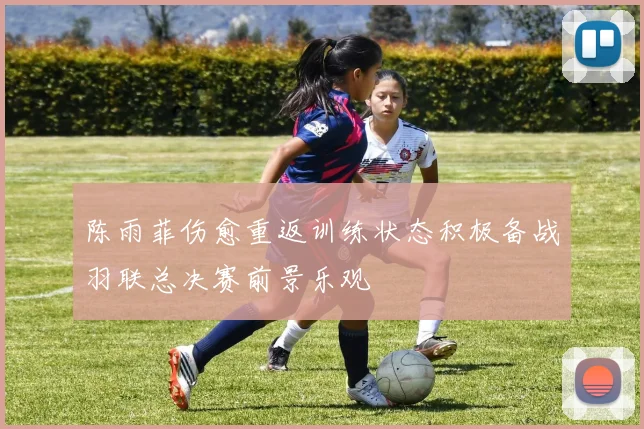 陈雨菲伤愈重返训练状态积极备战羽联总决赛前景乐观